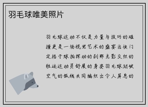 羽毛球唯美照片