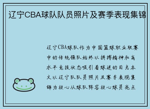 辽宁CBA球队队员照片及赛季表现集锦